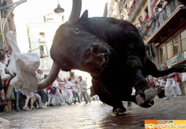 Pampelune Toro-humourenvrac